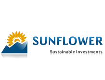 Sun flower